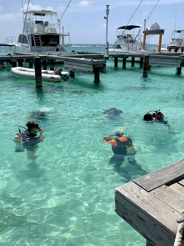 Diver descending reef Aruba